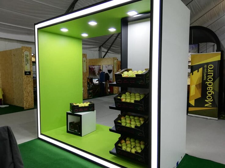 83996164_2496453197290094_1123353768625176576_n