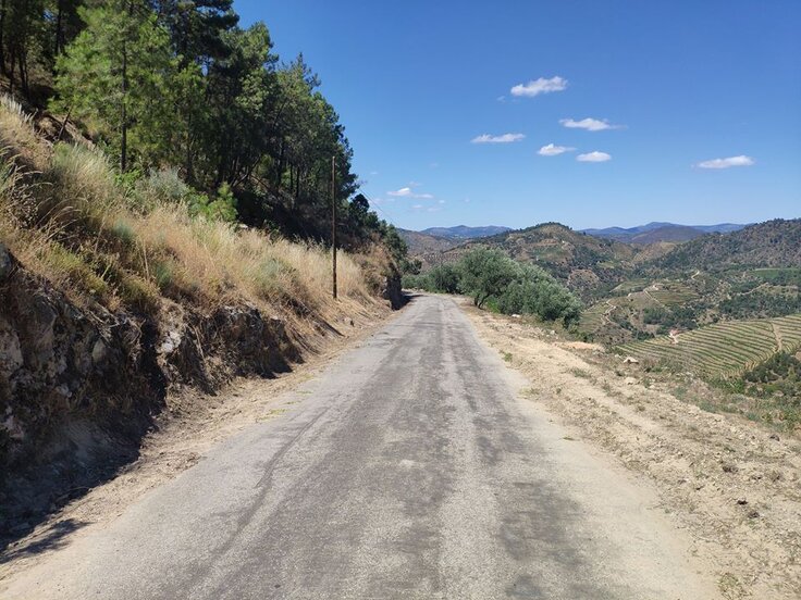 106531238_2624024601199619_3343690360306252627_o