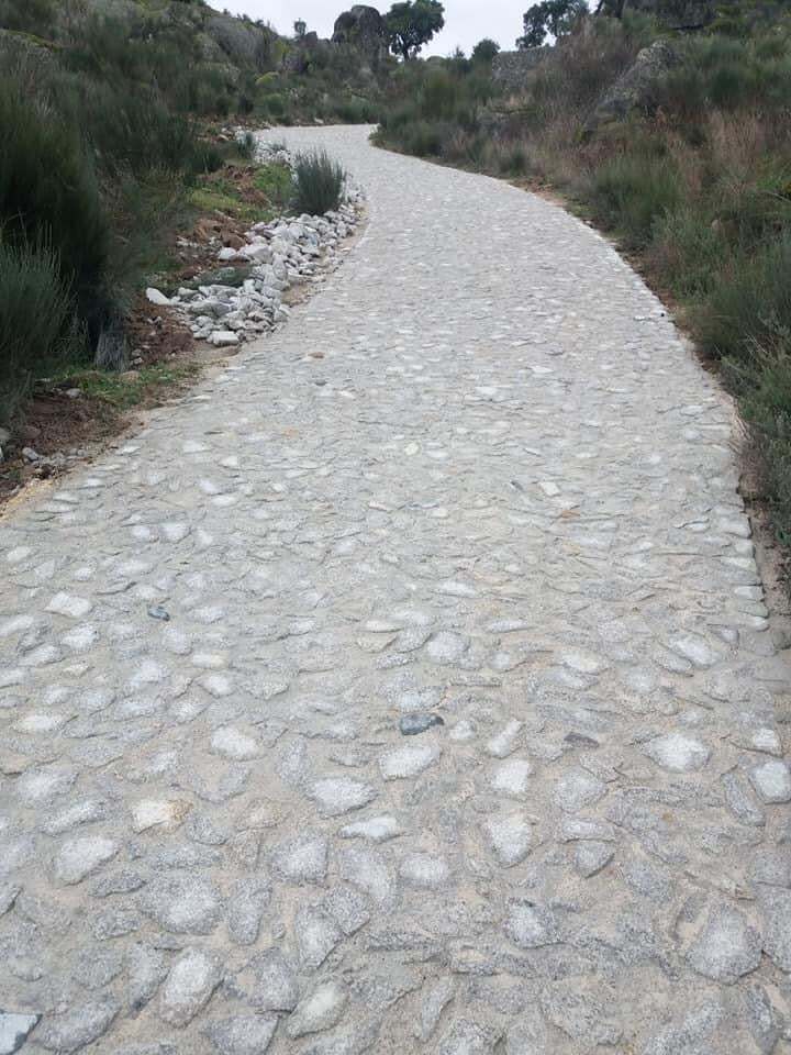 162736715_2834686280133449_296386086482911134_n