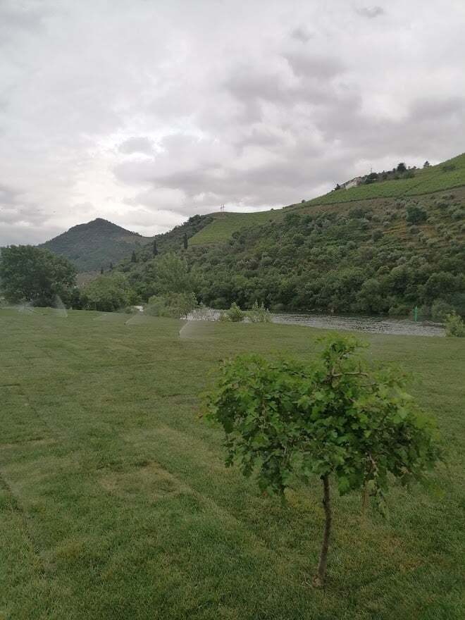 187583694_972394303511593_8757838691122903531_n