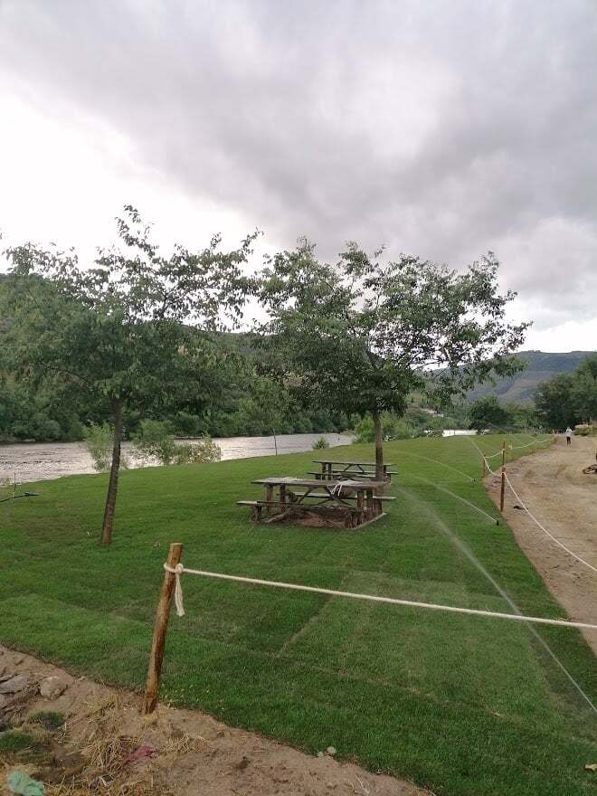 188103663_972394363511587_3629259014130028350_n