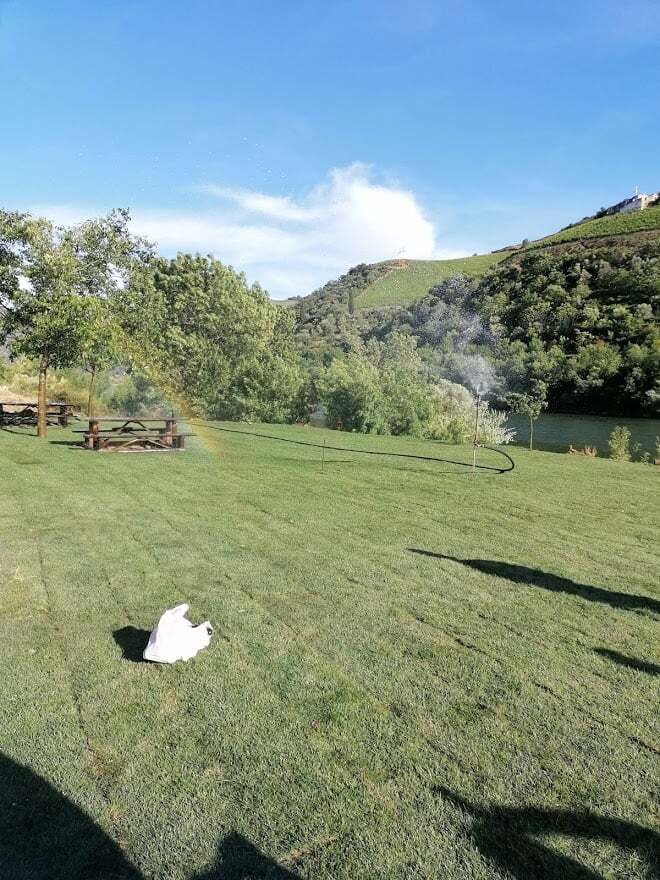 188285735_972394213511602_6510330572056168260_n