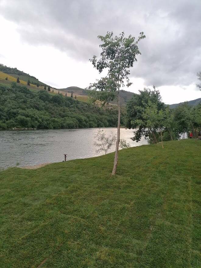 188642755_972394330178257_376078618869345468_n