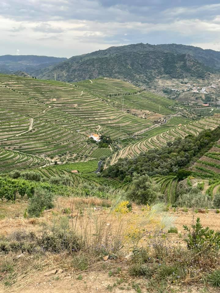 192155892_2886272951641448_7573399987007232339_n