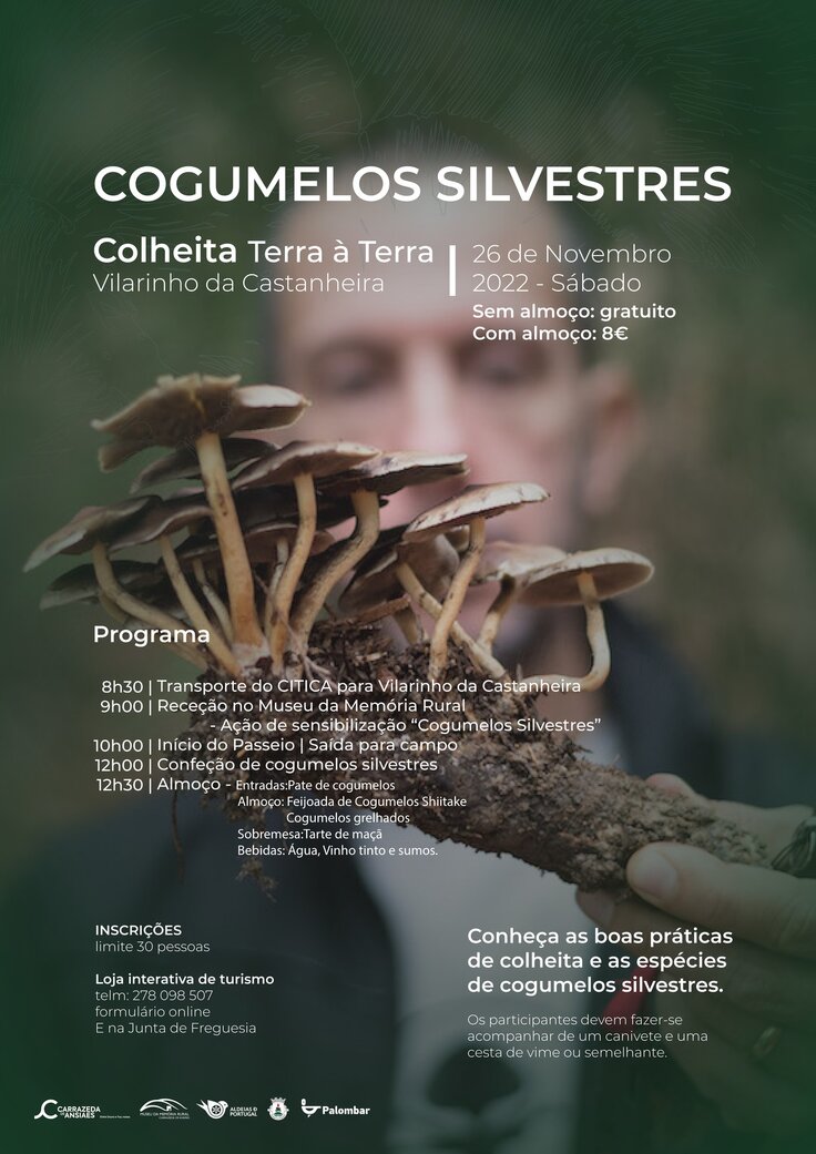 colheita Terra &agrave; Terra_cartaz