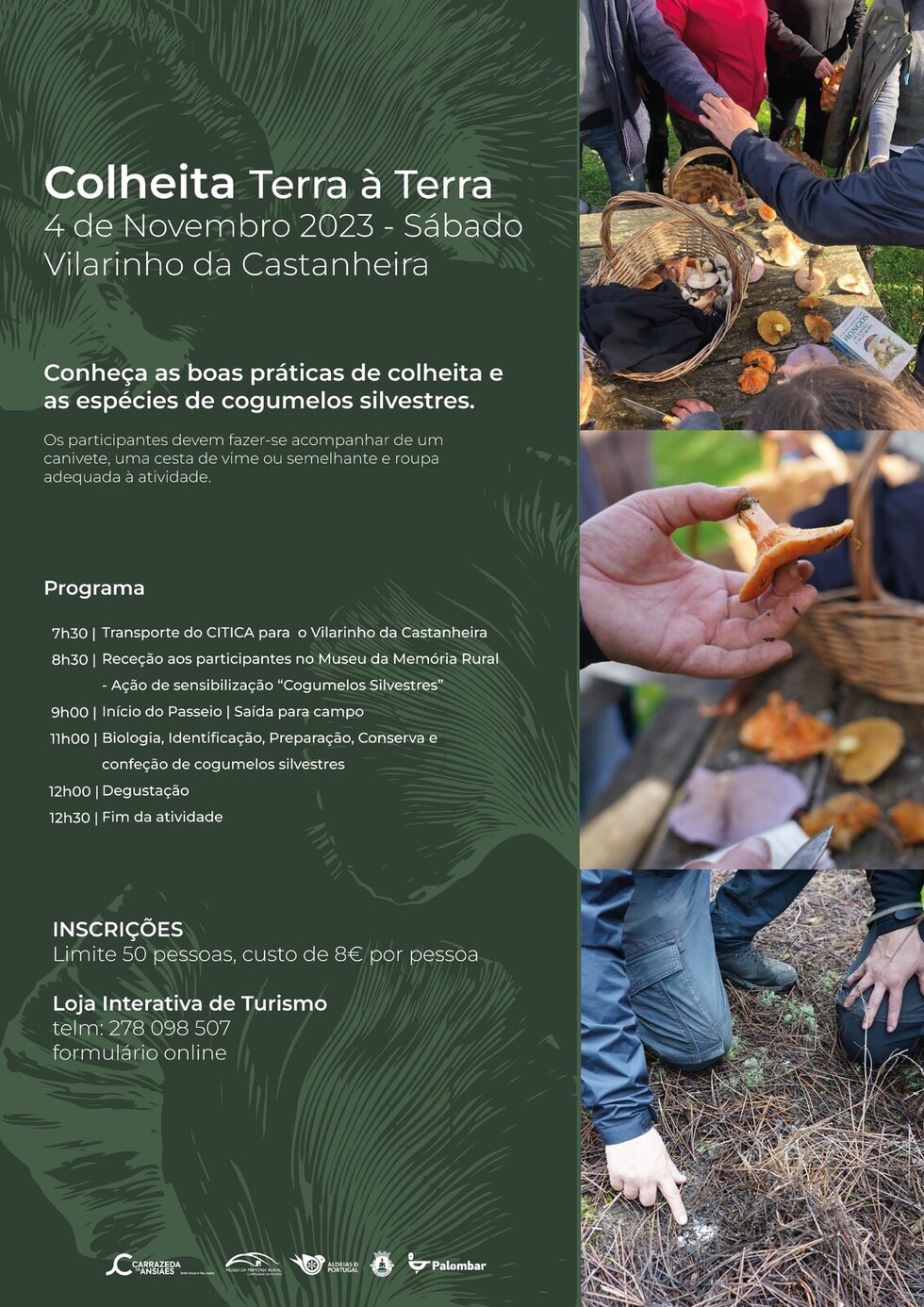 colheita terra &agrave; terra_a3