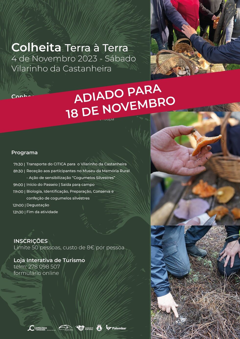 colheita terra &agrave; terraADIADO_a3