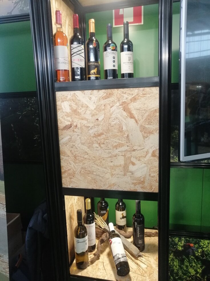 IMG_20231104_143724_resized_20231113_094212865