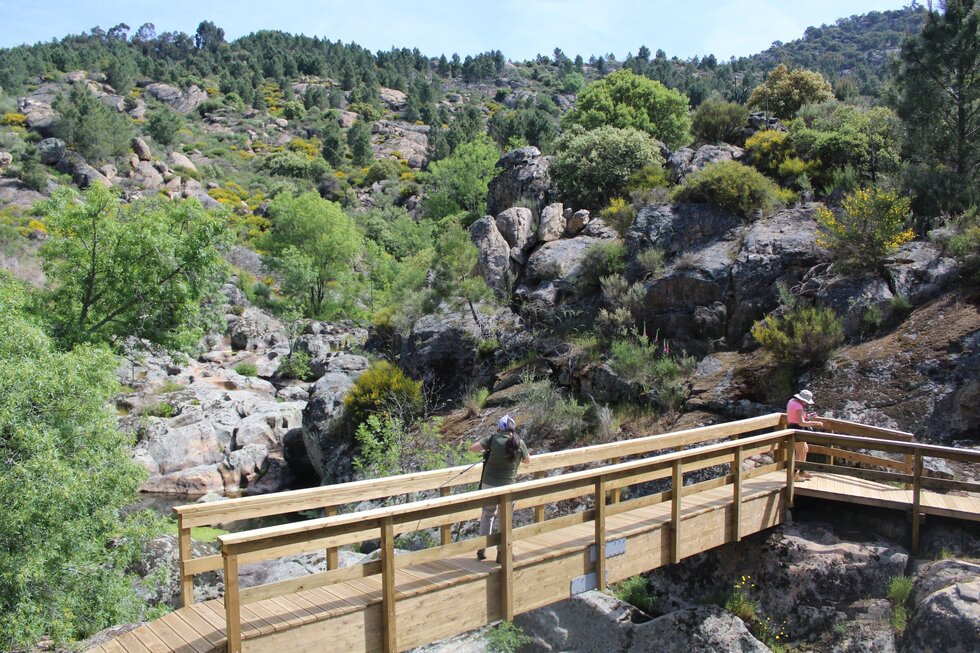 Inaugura&ccedil;&atilde;o da PR4 e PR5 (86)