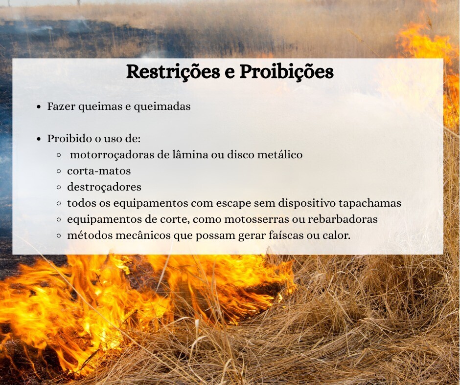 501099760_1095204569308430_6347207250667294618_n