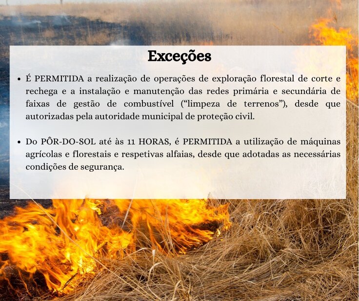 497105627_1095204572641763_3969866566063857003_n