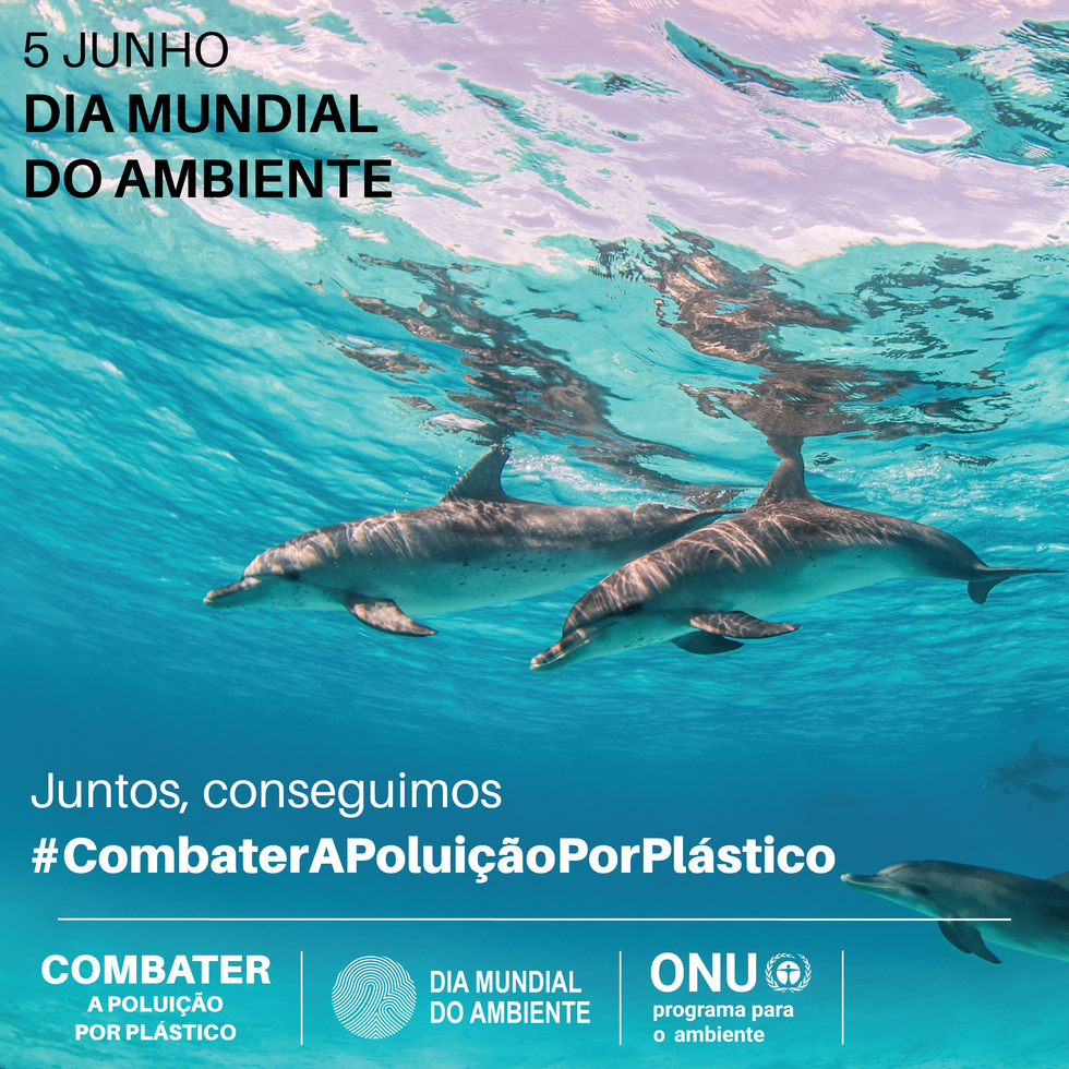 Instagram_Post_Golfinhos_CM-ONGA