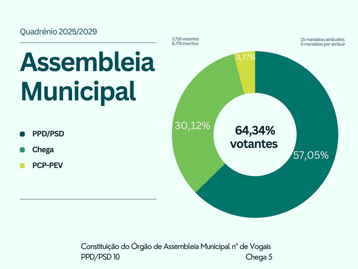 Green and White Simple Budget Pie Chart Graph