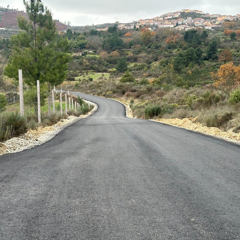 597864487_1255481809947371_409884744106826247_n