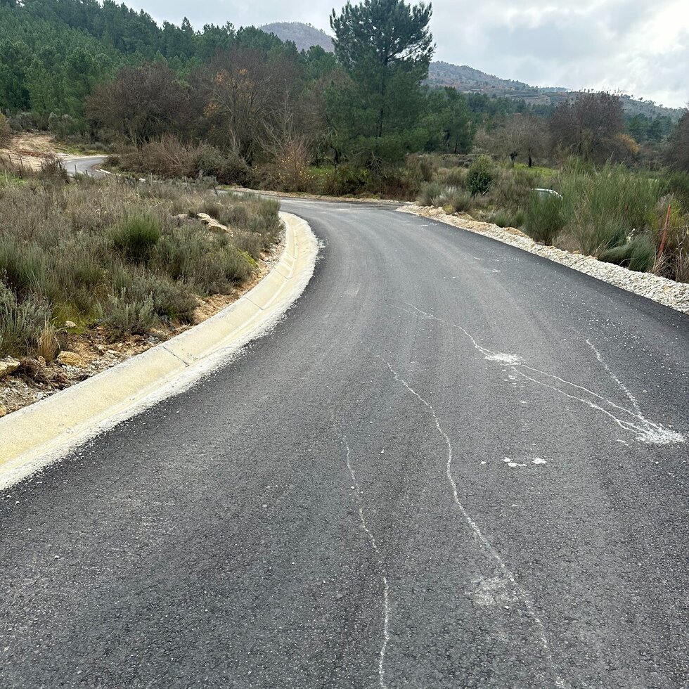 597884579_1255481929947359_543019712670050233_n