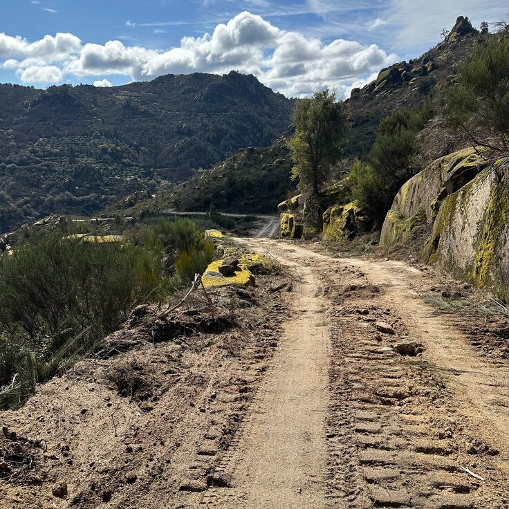 649869766_1327375169424701_3362238323315965782_n