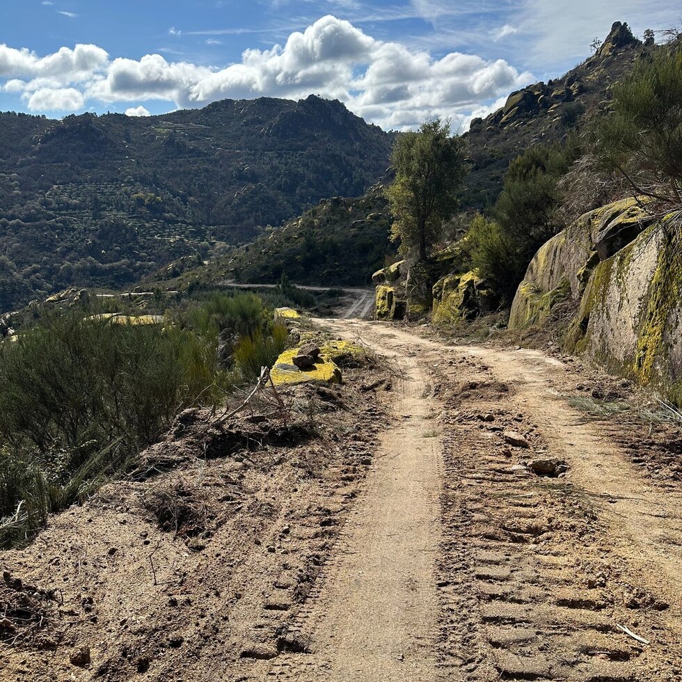 649869766_1327375169424701_3362238323315965782_n